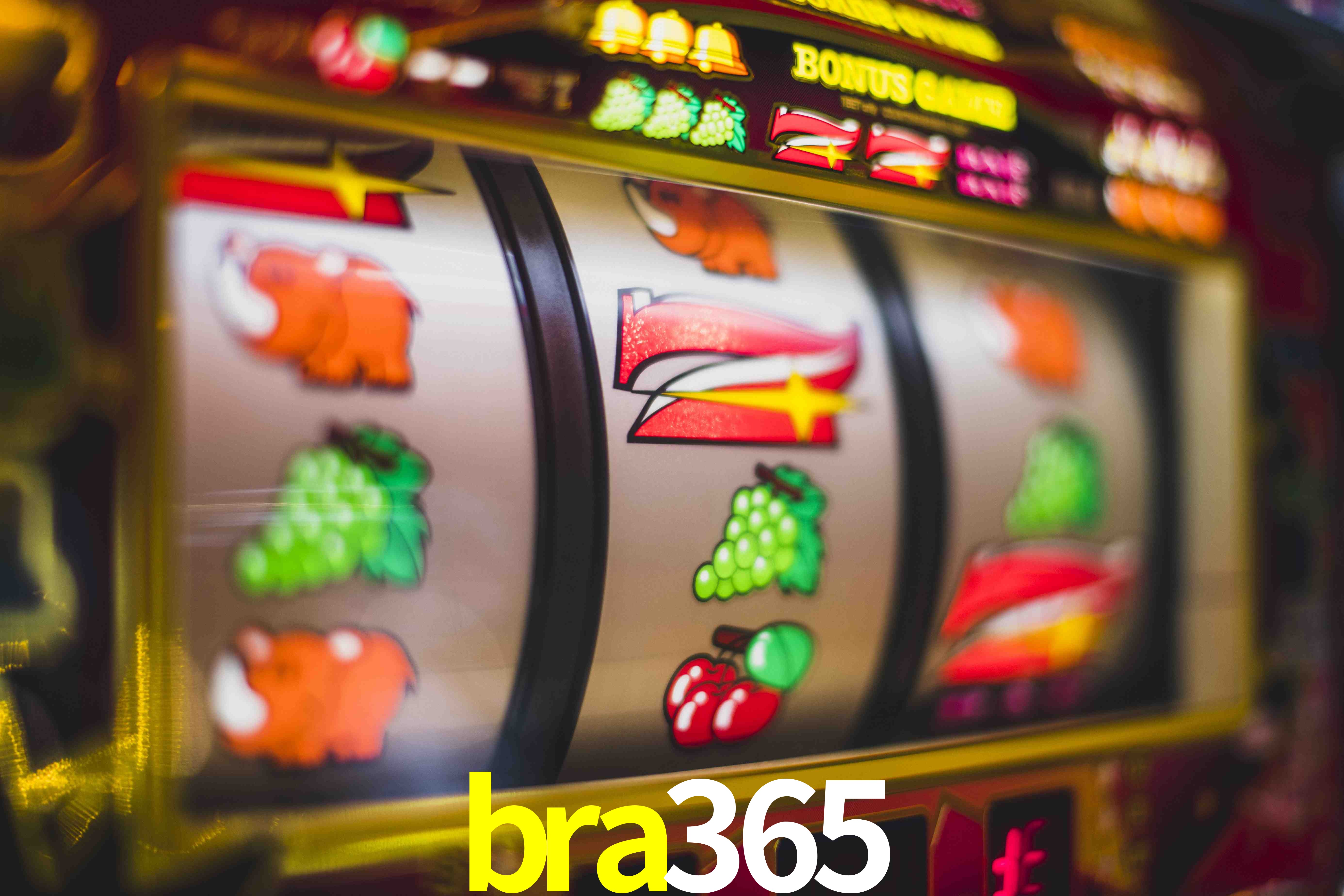 Crash Games Statistics bra365